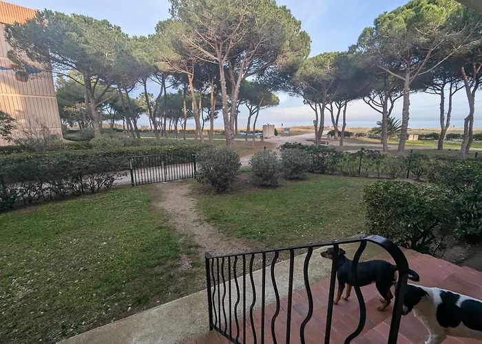 Tresor Littoral, Belle Vue Direct Apartamento *