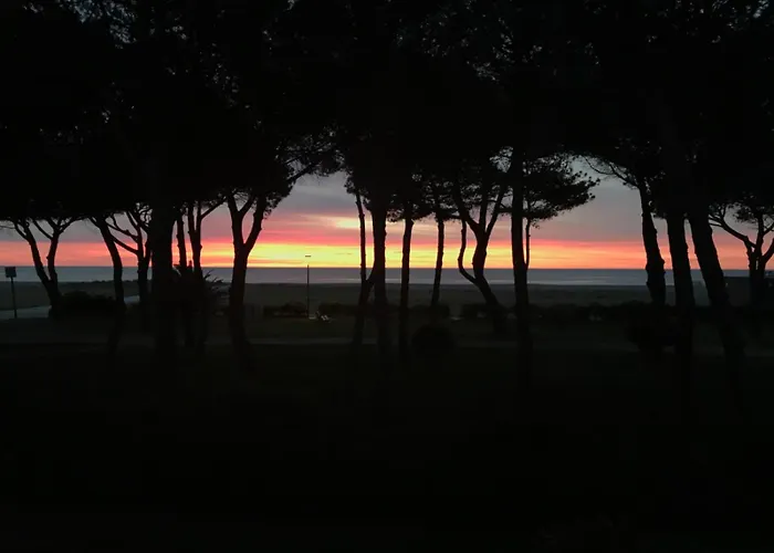 Tresor Littoral, Belle Vue Direct Apartamento